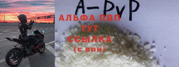 ПСИЛОЦИБИНОВЫЕ ГРИБЫ Горно-Алтайск