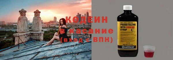 ПСИЛОЦИБИНОВЫЕ ГРИБЫ Горно-Алтайск