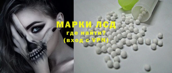 ПСИЛОЦИБИНОВЫЕ ГРИБЫ Горно-Алтайск