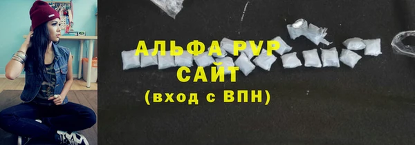 ПСИЛОЦИБИНОВЫЕ ГРИБЫ Горно-Алтайск