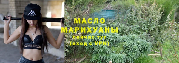 ПСИЛОЦИБИНОВЫЕ ГРИБЫ Горно-Алтайск