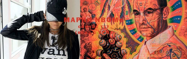 ПСИЛОЦИБИНОВЫЕ ГРИБЫ Горно-Алтайск