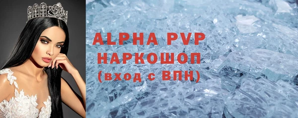 ПСИЛОЦИБИНОВЫЕ ГРИБЫ Горно-Алтайск