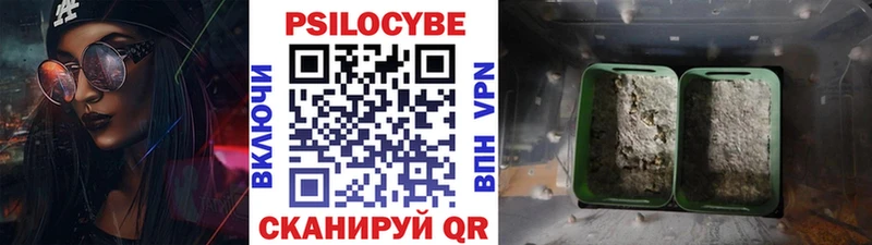 Галлюциногенные грибы Psilocybine cubensis  сайты даркнета Telegram  Мураши 